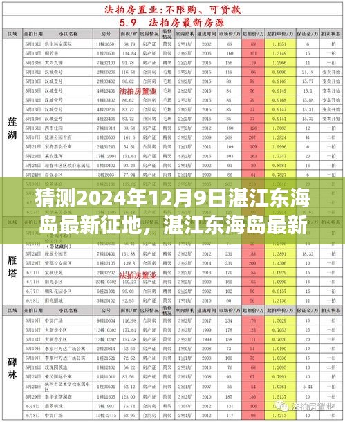 湛江东海岛最新征地计划揭晓，2024年12月9日征地展望