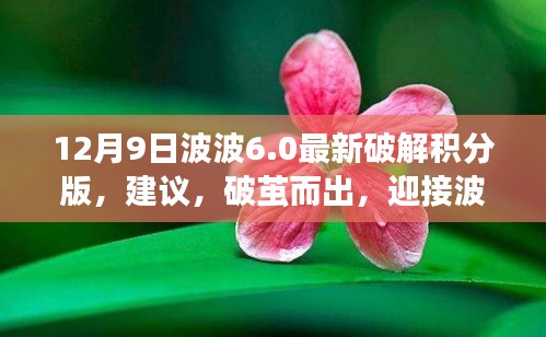 波波6.0积分版破解，自信火花点燃新篇章的建议与挑战