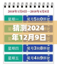 揭秘预测，2024年白沟限号最新动态与消息预测，洞察未来交通管制趋势