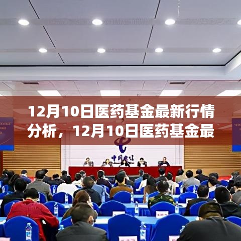 12月10日医药基金行情深度解析，市场走势、热点及前景展望
