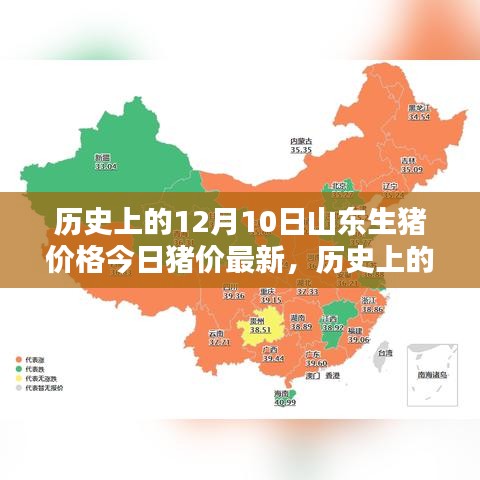 历史上的12月10日山东生猪价格深度解析，今日猪价动态及概览