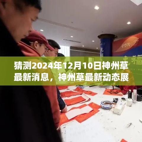 神州草最新动态展望，解读创新成果与未来趋势至2024年12月