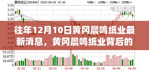 探寻黄冈晨鸣纸业背后的自然秘境，纸间旅行与心灵平静之旅