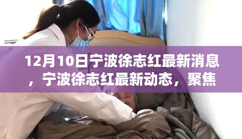 宁波徐志红最新动态及影响，十二月十日聚焦的重要时刻与深远意义