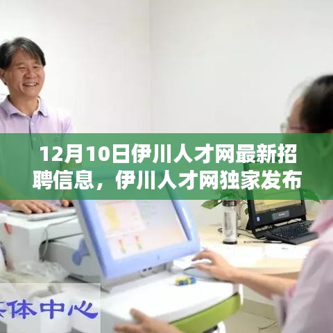 伊川人才网独家发布，最新招聘信息大揭秘，优质职位等你来挑战