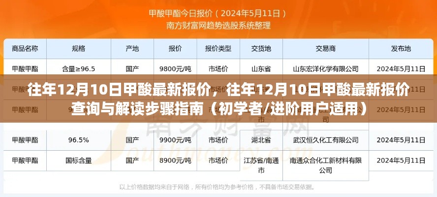 往年12月10日甲酸最新报价详解，查询与解读步骤指南（适用于初学者与进阶用户）