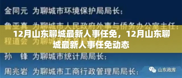山东聊城人事任免动态更新，十二月最新人事调整