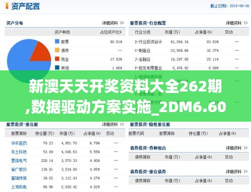 新澳天天开奖资料大全262期,数据驱动方案实施_2DM6.606