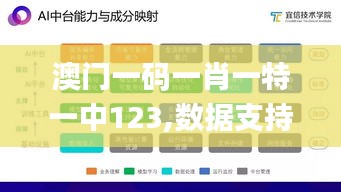 澳门一码一肖一特一中123,数据支持策略解析_Q3.560