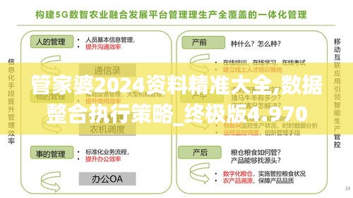 管家婆2024资料精准大全,数据整合执行策略_终极版4.970