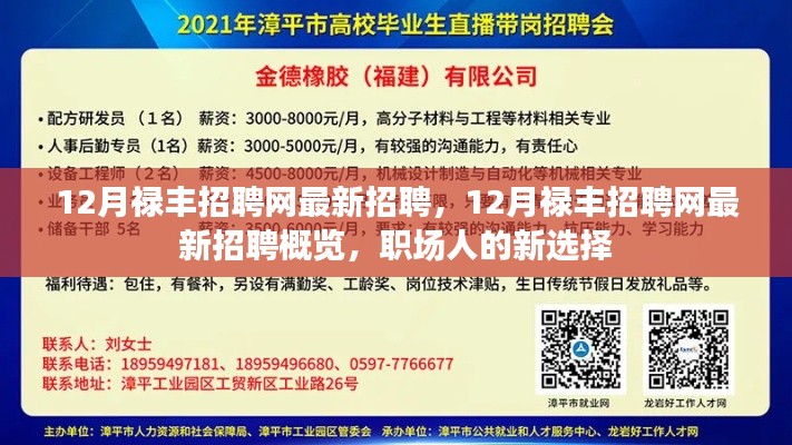 12月禄丰招聘网最新招聘概览，职场人的新选择