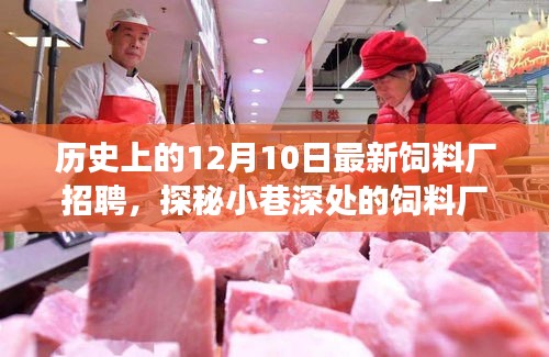 探秘招聘日，饲料厂职业发现之旅——12月10日最新招聘启事