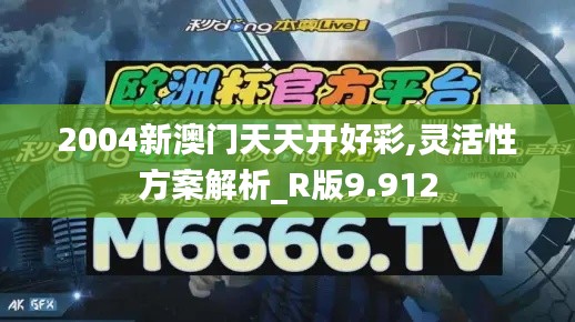 2004新澳门天天开好彩,灵活性方案解析_R版9.912