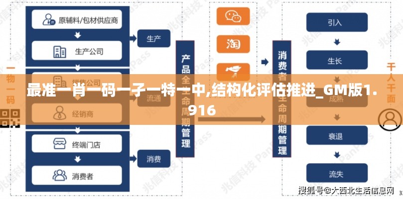 最准一肖一码一孑一特一中,结构化评估推进_GM版1.916