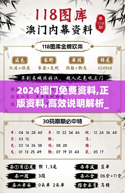 2024澳门免费资料,正版资料,高效说明解析_钱包版2.740