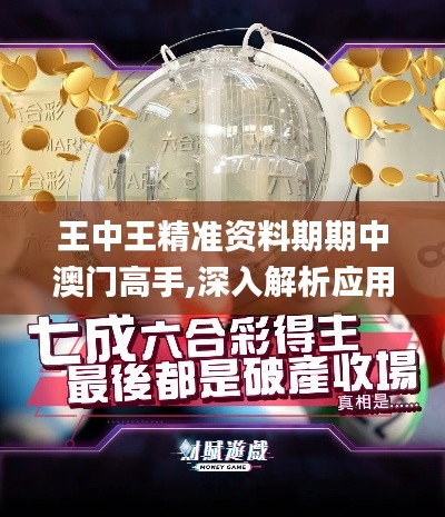 王中王精准资料期期中澳门高手,深入解析应用数据_pack12.662
