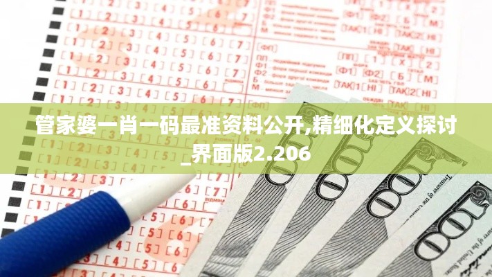 管家婆一肖一码最准资料公开,精细化定义探讨_界面版2.206