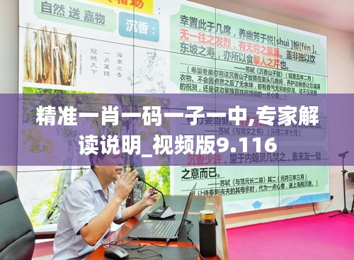 精准一肖一码一子一中,专家解读说明_视频版9.116