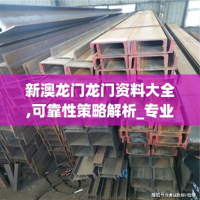 新澳龙门龙门资料大全,可靠性策略解析_专业款110.355