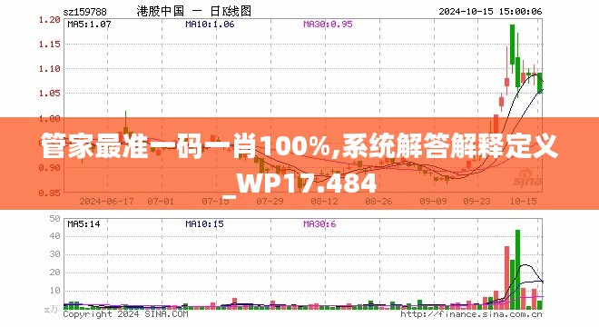 管家最准一码一肖100%,系统解答解释定义_WP17.484