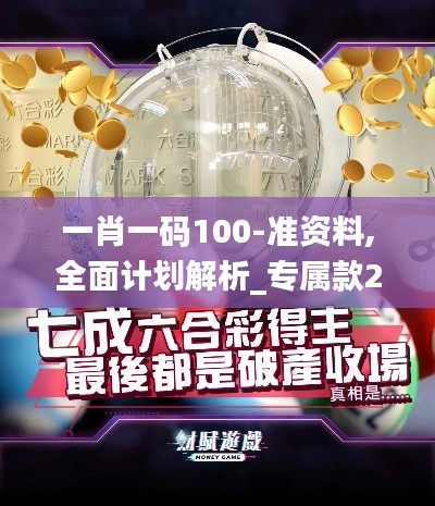 一肖一码100-准资料,全面计划解析_专属款2.688