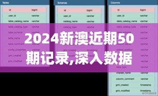 2024新澳近期50期记录,深入数据解释定义_云端版2.627