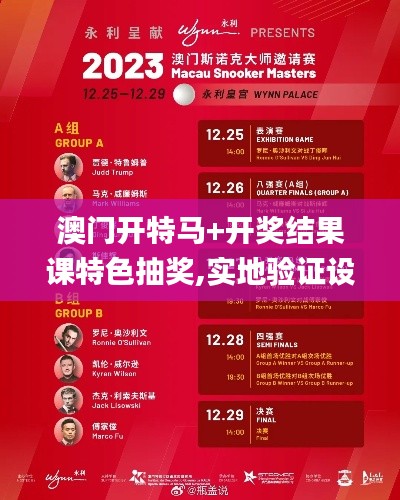 澳门开特马+开奖结果课特色抽奖,实地验证设计方案_高级版10.738