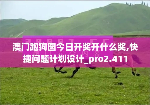 澳门跑狗图今日开奖开什么奖,快捷问题计划设计_pro2.411