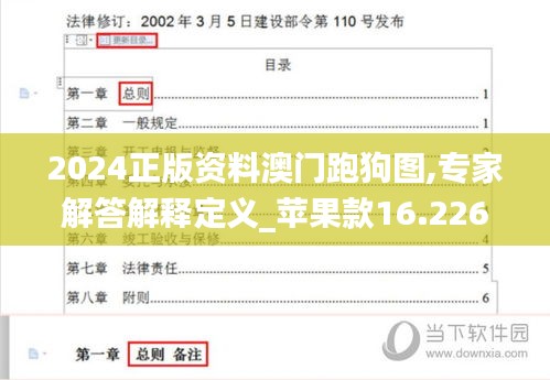 2024正版资料澳门跑狗图,专家解答解释定义_苹果款16.226