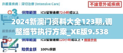 2024新澳门资料大全123期,调整细节执行方案_XE版9.538