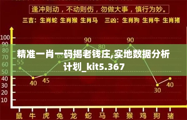 精准一肖一码揭老钱庄,实地数据分析计划_kit5.367