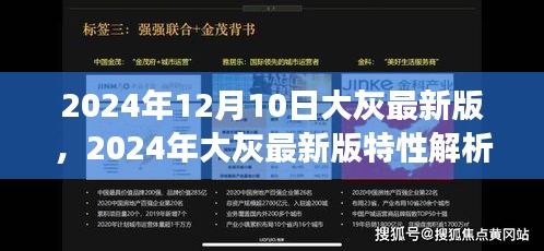 深度解析，2024年大灰最新版特性与观点阐述