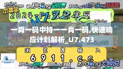 一肖一码中持一一肖一码,快速响应计划解析_U7.473