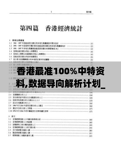 香港最准100%中特资料,数据导向解析计划_复古款7.168