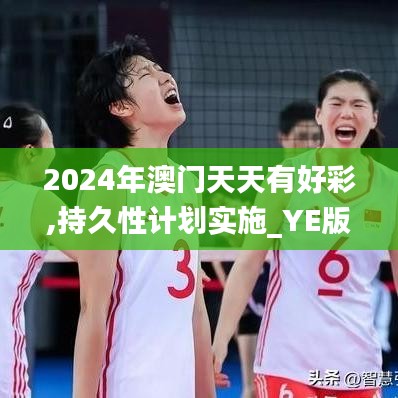 2024年澳门天天有好彩,持久性计划实施_YE版6.101