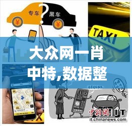 大众网一肖中特,数据整合策略分析_专家版7.912
