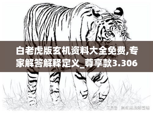 白老虎版玄机资料大全免费,专家解答解释定义_尊享款3.306