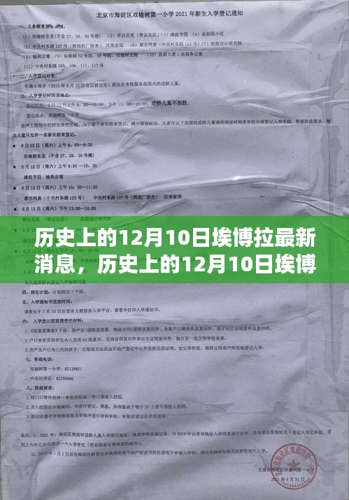 历史上的12月10日埃博拉疫情最新动态与观点分析，疫情进展及其影响概述