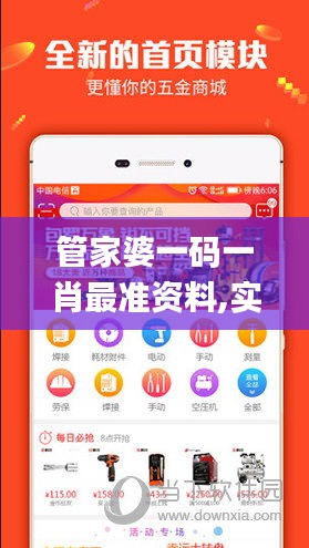 管家婆一码一肖最准资料,实时解答解释定义_静态版16.751