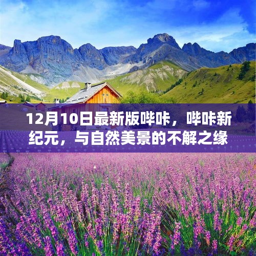 哔咔新纪元，与自然美景的不解之缘，启程寻找内心的宁静之旅（12月10日最新版）