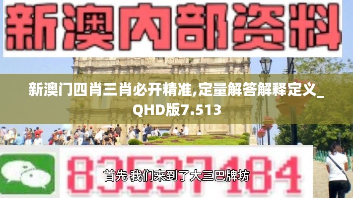 新澳门四肖三肖必开精准,定量解答解释定义_QHD版7.513