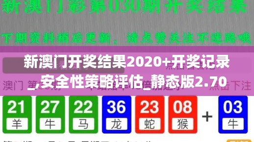 新澳门开奖结果2020+开奖记录_,安全性策略评估_静态版2.700