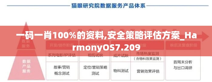 一码一肖100%的资料,安全策略评估方案_HarmonyOS7.209