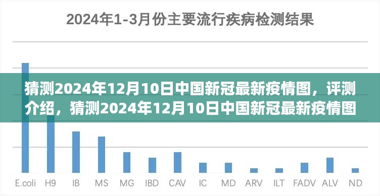 深度解析，预测与评测中国新冠疫情图——以2024年12月10日为时间节点
