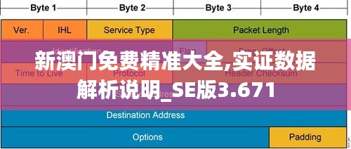 新澳门免费精准大全,实证数据解析说明_SE版3.671