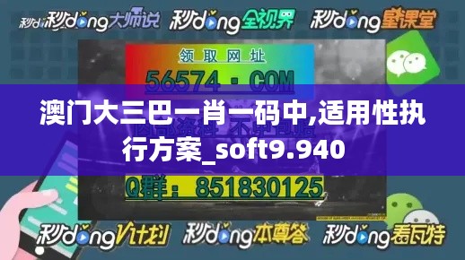 澳门大三巴一肖一码中,适用性执行方案_soft9.940
