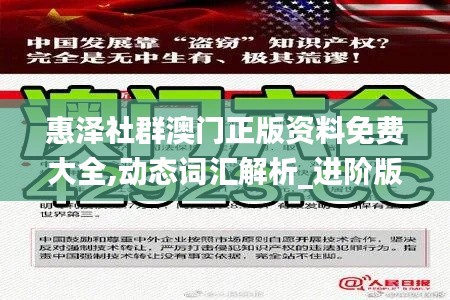 惠泽社群澳门正版资料免费大全,动态词汇解析_进阶版6.230