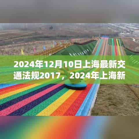 探索自然美景之旅，上海新交通法规下的心灵之旅