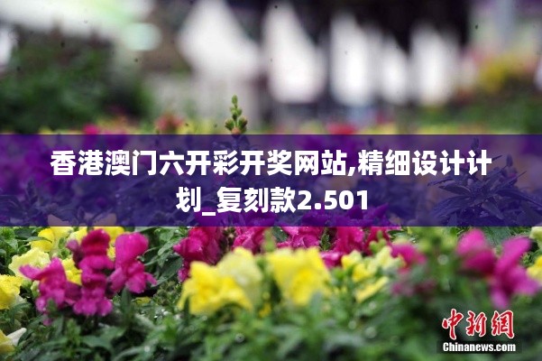 香港澳门六开彩开奖网站,精细设计计划_复刻款2.501