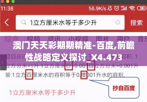 澳门天天彩期期精准-百度,前瞻性战略定义探讨_X4.473